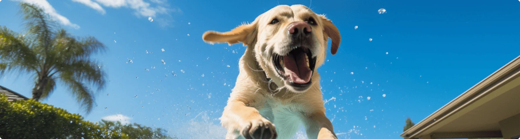 Welcome to Our Store